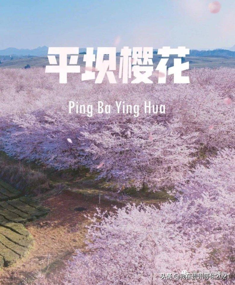 加速收缩个人银行业务后花旗中国驶向何方?最新任职批复指明方向:对公业务老将陆烜出任行长