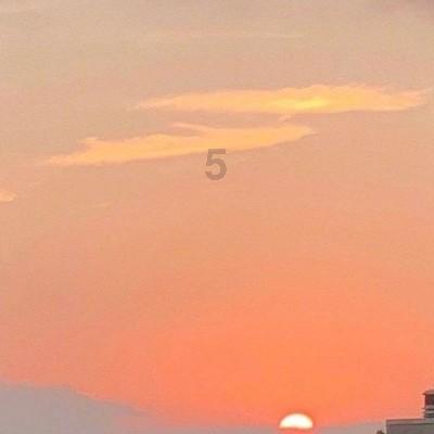 上交所：终止剑牌农化发行上市审核